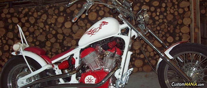 honda-vt-600-shadow honda-vt-600-shadow