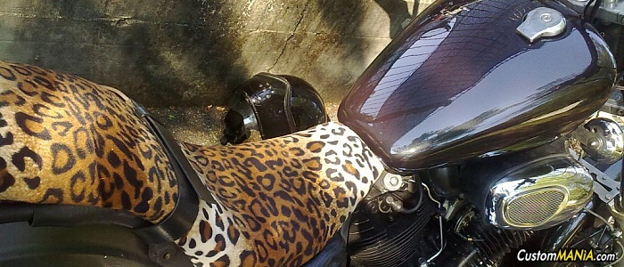 yamaha-xv-virago yamaha-xv-virago