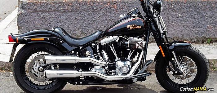 harley-davidson-softail-flstsb-cross-bones