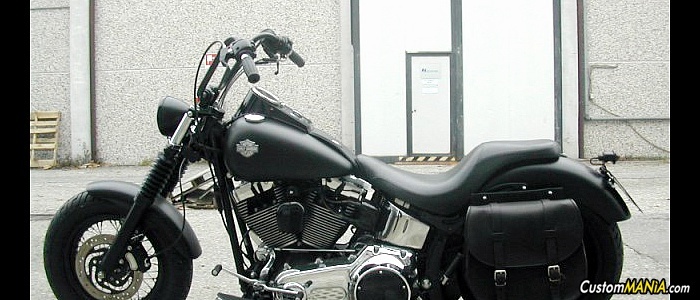 harley-davidson-softail-fxstc-custom