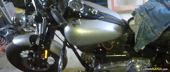 harley-davidson-softail-flstsb-cross-bones