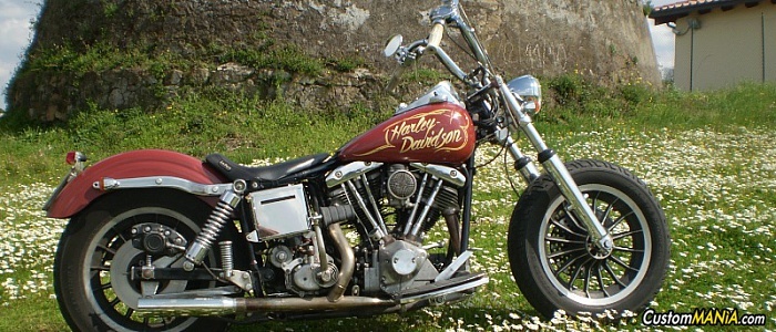 harley-davidson-dyna-fxdl-low-rider