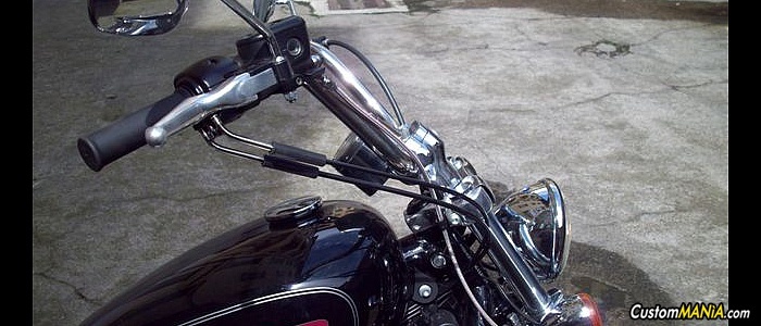 harley-davidson-sportster-xl883c-custom