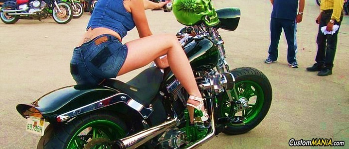 harley-davidson-softail-flsts-heritage-springer