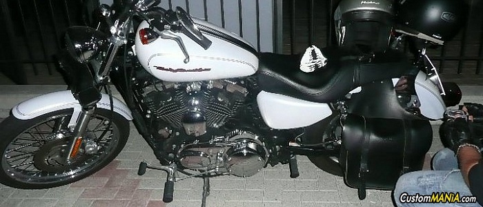 harley-davidson-sportster-xl883c-custom