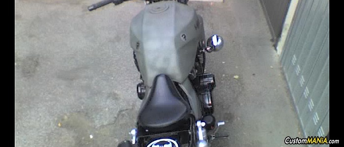 suzuki-intruder-800