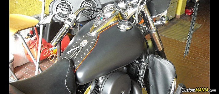 kawasaki-vn-800-classic kawasaki-vn-800-classic