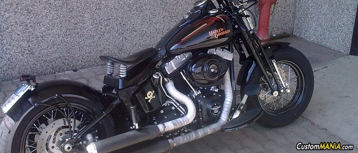 harley-davidson-softail-flstsb-cross-bones