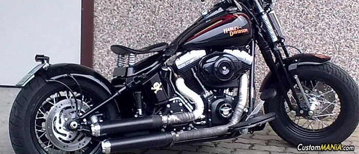 harley-davidson-softail-flstsb-cross-bones