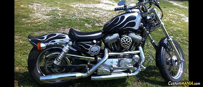 harley-davidson-sportster-xl883c-custom