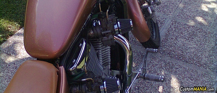 suzuki-intruder-800