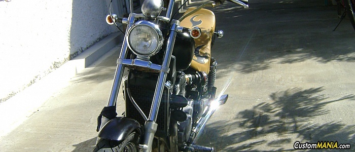 kawasaki-en-500-ltd
