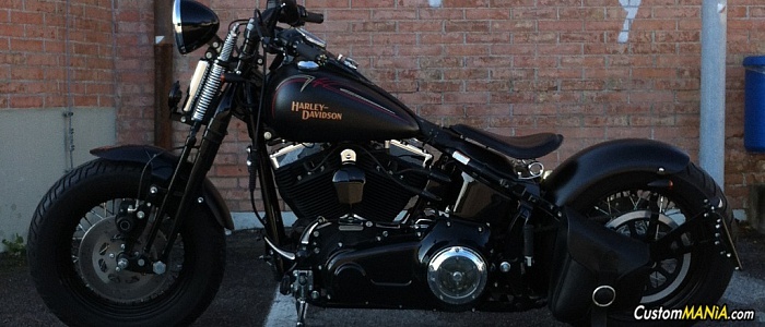 harley-davidson-softail-flstsb-cross-bones