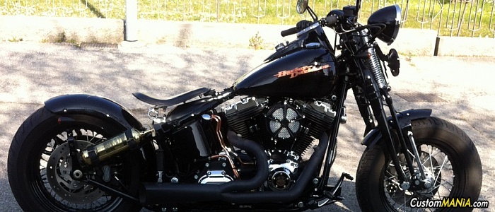 harley-davidson-softail-flstsb-cross-bones