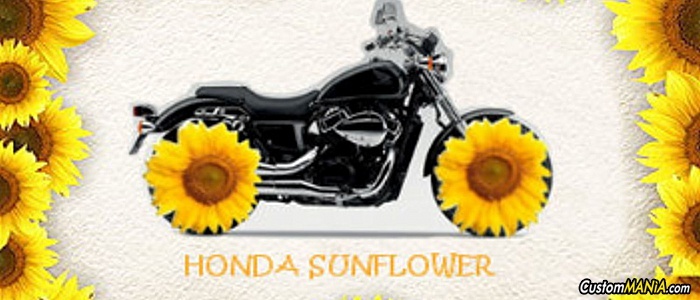 honda-vt-750-shadow
