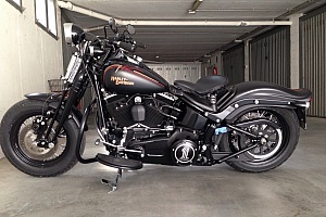 harley-davidson-softail-flstsb-cross-bones