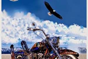 harley-davidson-softail-fxstc-custom