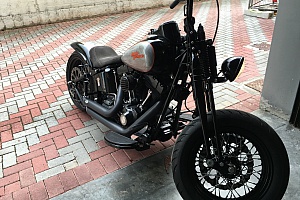harley-davidson-softail-flstsb-cross-bones harley-davidson-softail-flstsb-cross-bones