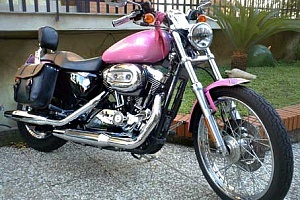 harley-davidson-sportster-xl883c-custom