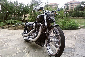 harley-davidson-sportster-xl883c-custom