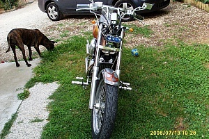 honda-vt-600-shadow honda-vt-600-shadow