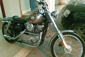 harley-davidson-sportster-xl883c-custom
