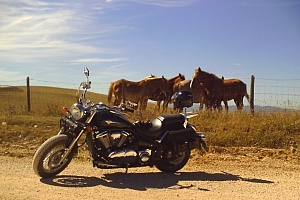 kawasaki-vn-900-classic