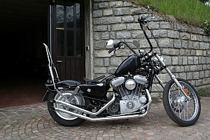 harley-davidson-sportster-xl883c-custom