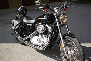 harley-davidson-sportster-xl883c-custom