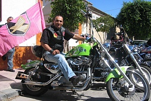 harley-davidson-sportster-xl883c-custom