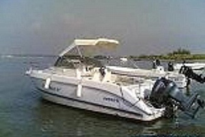 harley-davidson-v-rod-vrsca