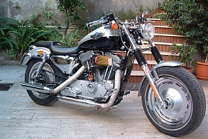 harley-davidson-sportster-xl883c-custom