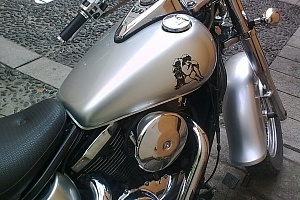 kawasaki-vn-800-classic