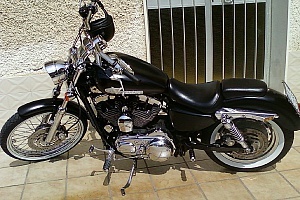 harley-davidson-sportster-xl883c-custom