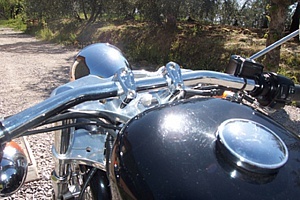 harley-davidson-sportster-xl883c-custom