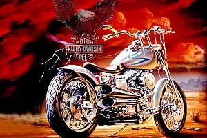 harley-davidson-sportster-xl883c-custom