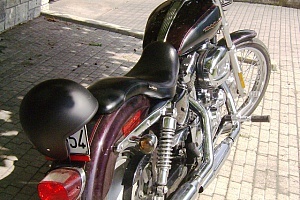 harley-davidson-sportster-xl883c-custom