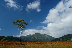 harley-davidson-sportster-xl1200r-roadster