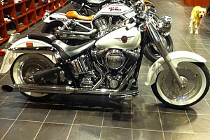 harley-davidson-softail-flstf-fat-boy