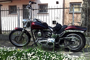 harley-davidson-softail-fxstc-custom
