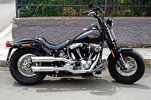 harley-davidson-softail-flstsb-cross-bones