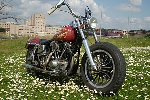 harley-davidson-dyna-fxdl-low-rider