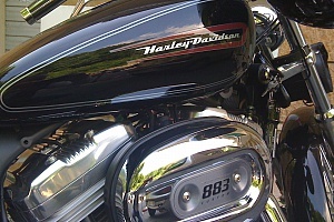 harley-davidson-sportster-xl883c-custom