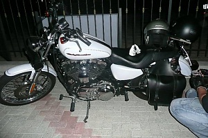 harley-davidson-sportster-xl883c-custom