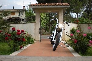 harley-davidson-softail-fxstd-deuce