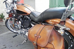 harley-davidson-sportster-xl883c-custom