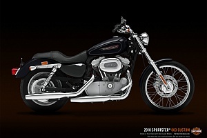 harley-davidson-sportster-xl883c-custom