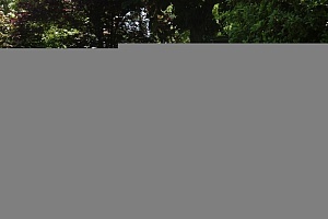 harley-davidson-sportster