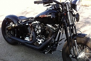 harley-davidson-softail-flstsb-cross-bones