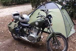 suzuki-savage-650
